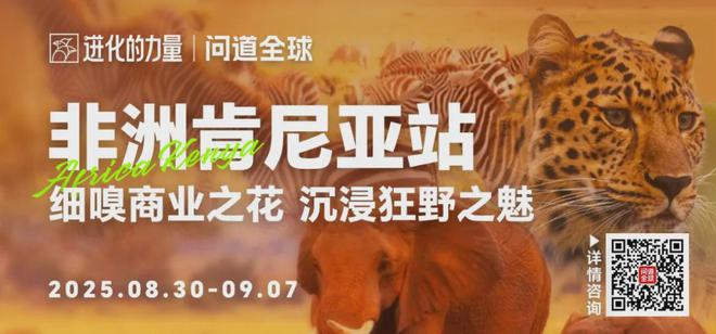 坡最后说几点凯发关于新加(图17)