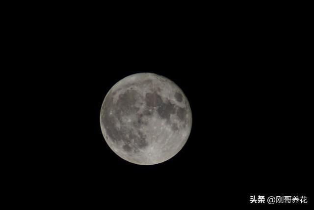 4 深度评测：优缺点大揭秘到底值不值得买
