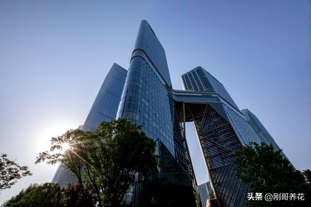 4 深度评测：优缺点大揭秘到底值不值得买？K8凯发·国际网站OPPO Reno 1(图2)